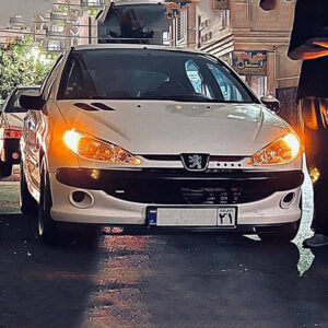 206 لوازمی 95